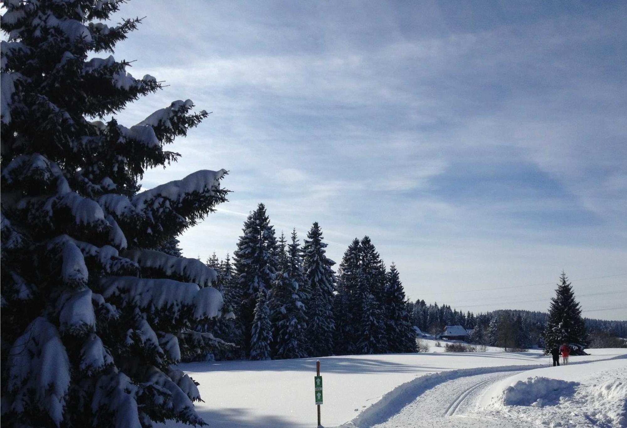 Inselklause Hotel Schönwald Bagian luar foto